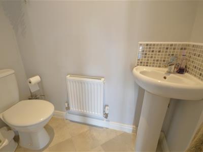 Picture 15
